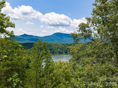 Lot 3 Loggers Pass Lane, Mill Spring, NC, 28756 | Card Image