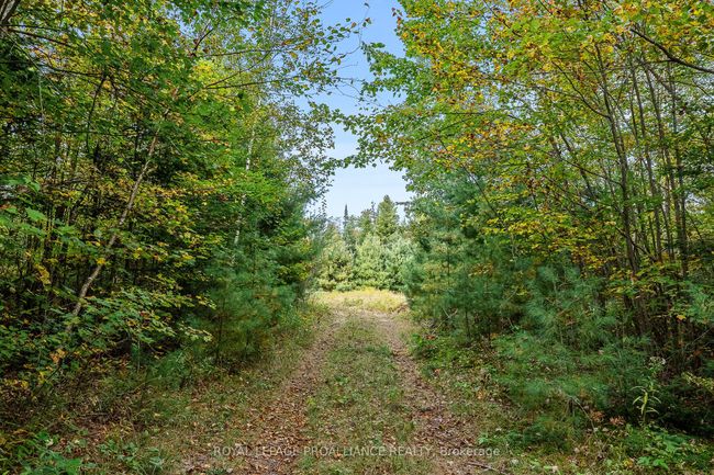 00 Highway 41, Home with 0 bedrooms, 0 bathrooms and null parking in Kaladar ON | Image 10