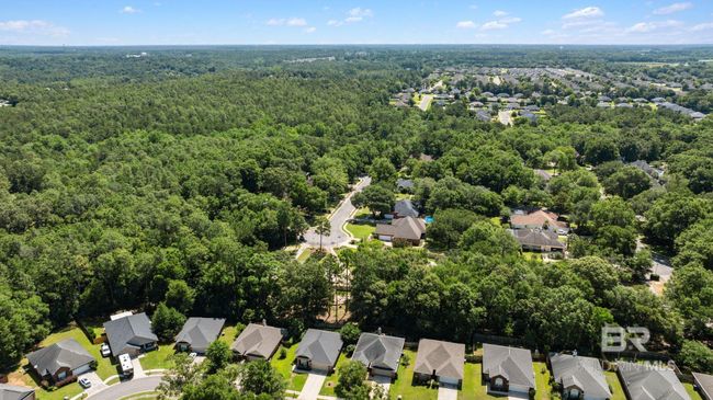 Aerial View | Image 60