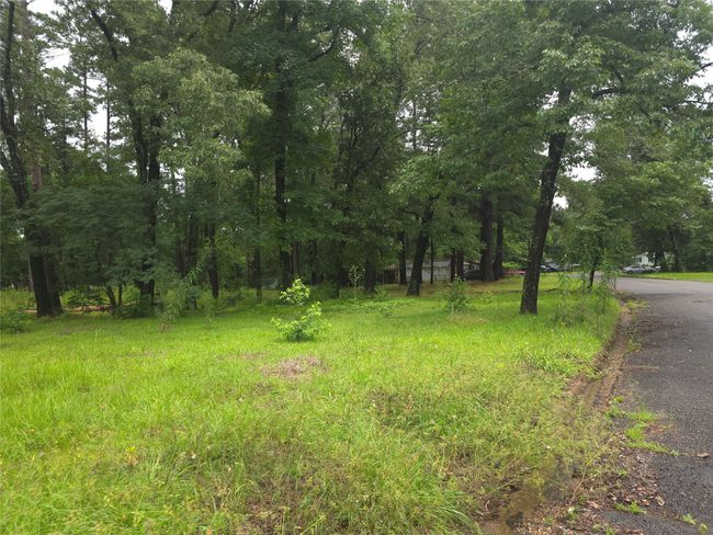 208 Mountain View Dr, Home with 0 bedrooms, 0 bathrooms and null parking in Daingerfield TX | Image 12