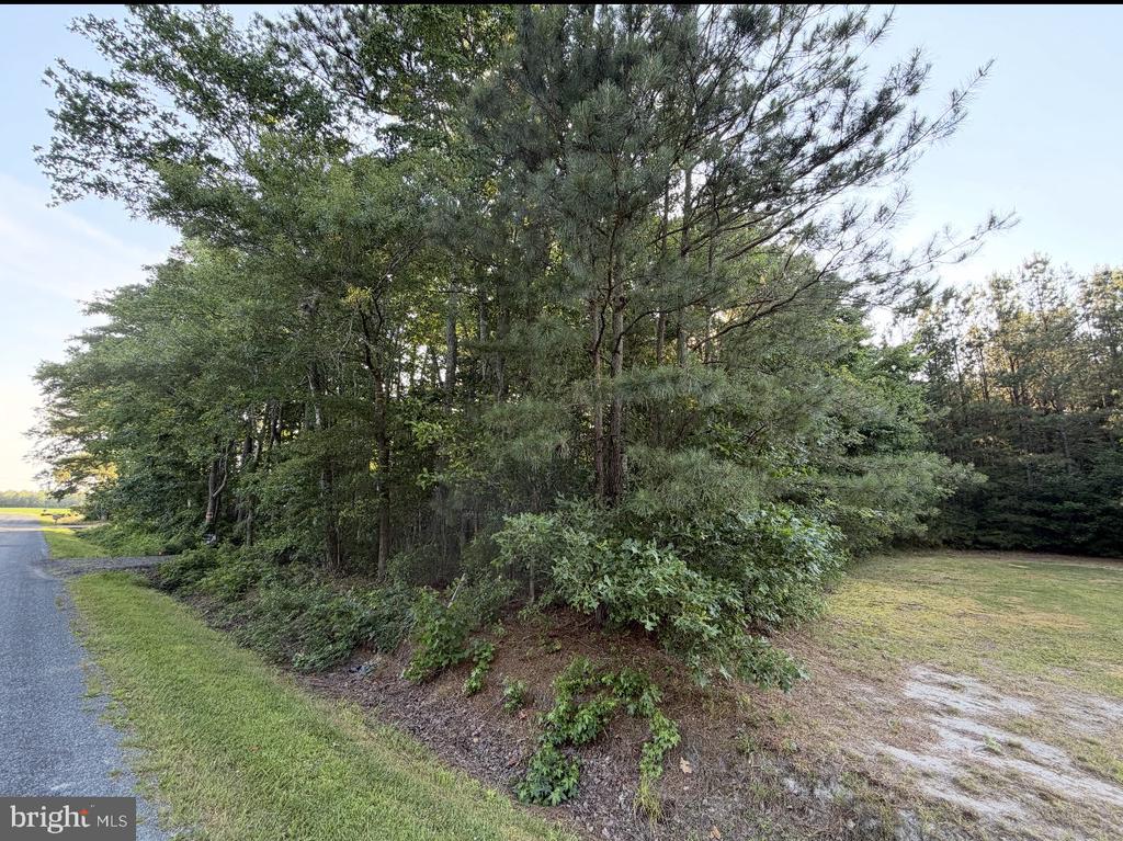 Land in PRINCESS ANNE 2