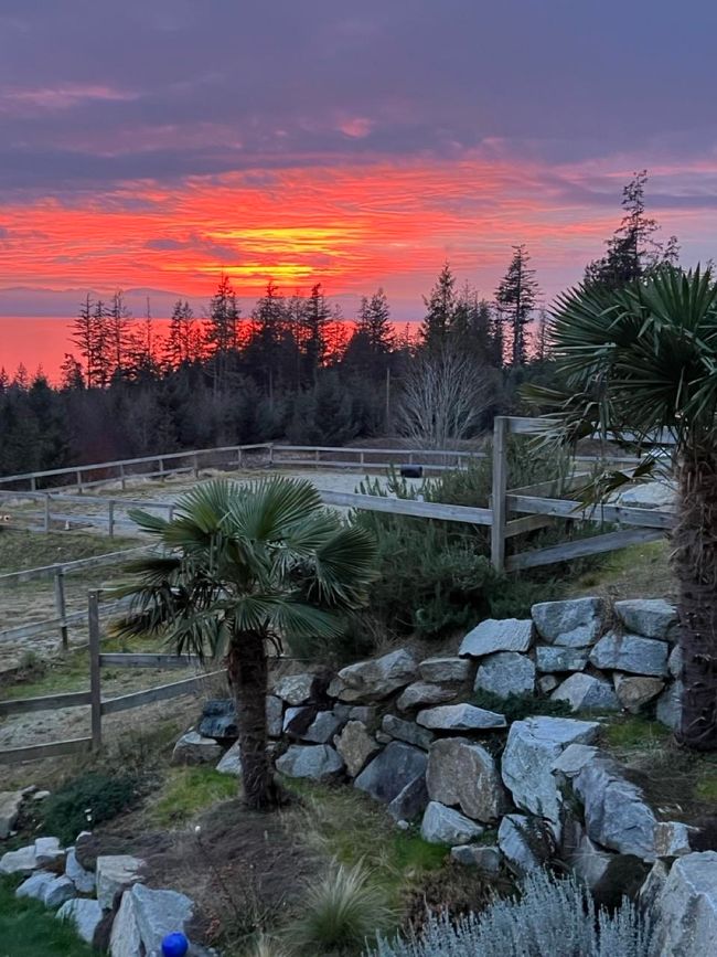 Yard at dusk with fence | Image 40