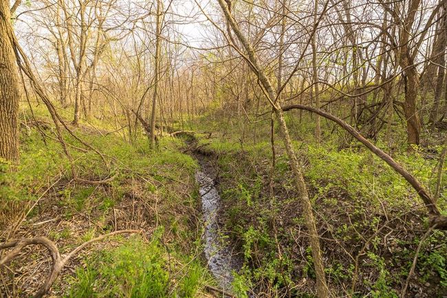 View of nature with a wooded view | Image 86