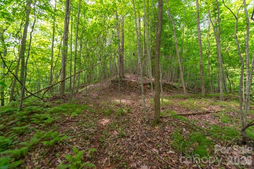 2-### Board Tree Road, Marshall, NC, 28753 | Card Image