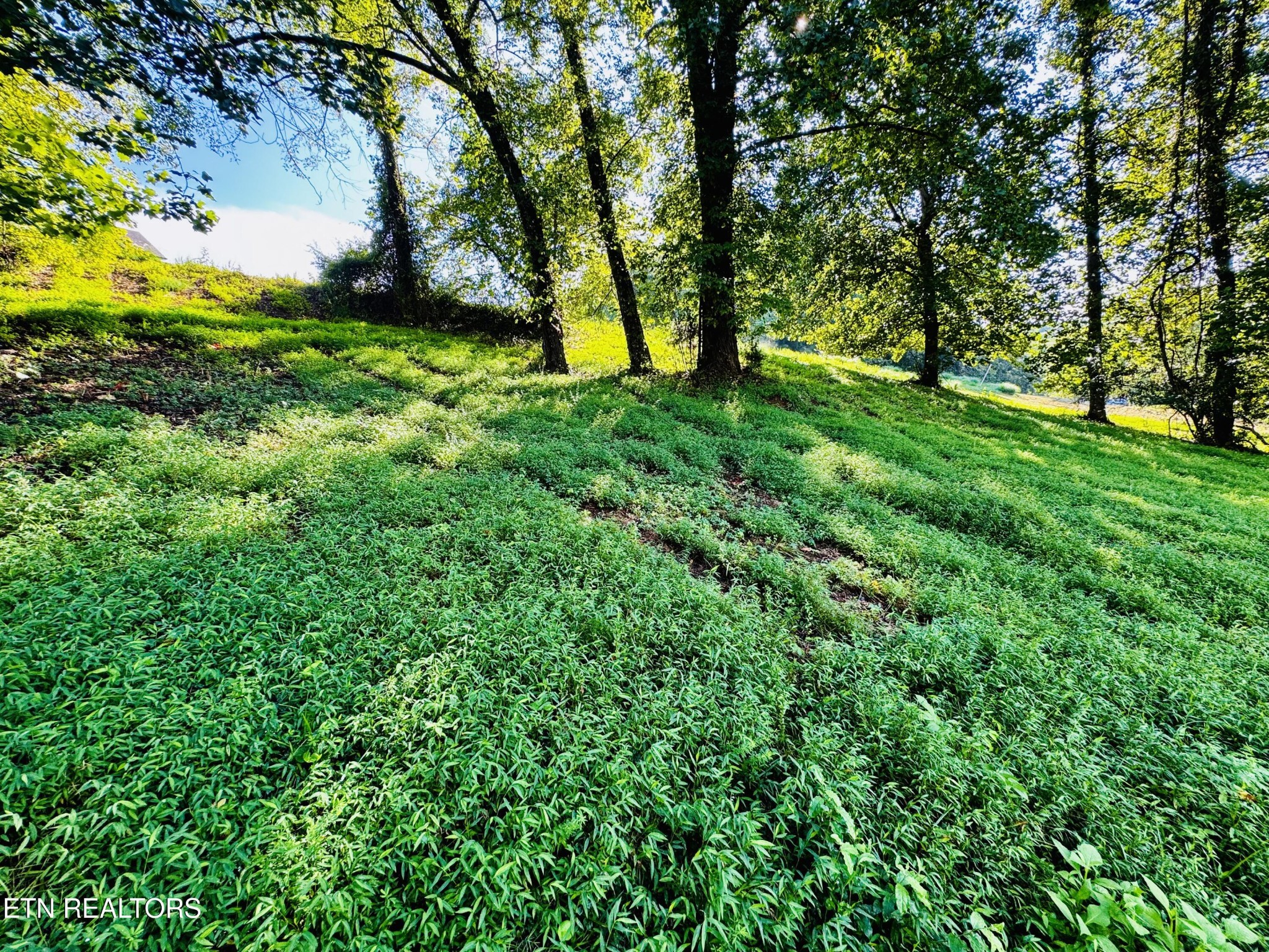 Land in Kodak 2