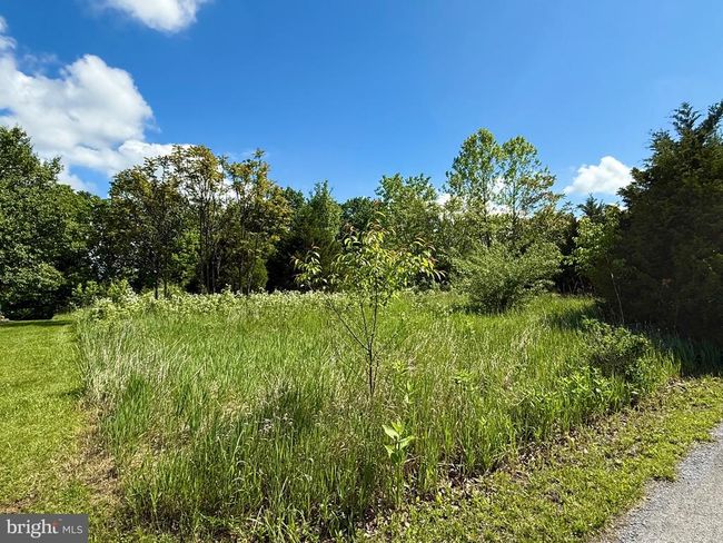 241 Naomi Ln, Home with 0 bedrooms, 0 bathrooms and null parking in Kearneysville WV | Image 9