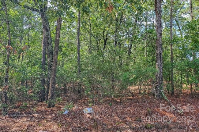 1915 Koon Road, Home with 0 bedrooms, 0 bathrooms and null parking in Lugoff SC | Image 13
