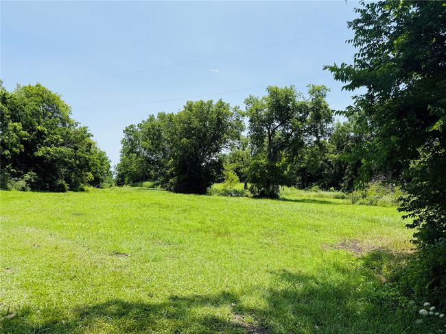 View of yard | Image 14