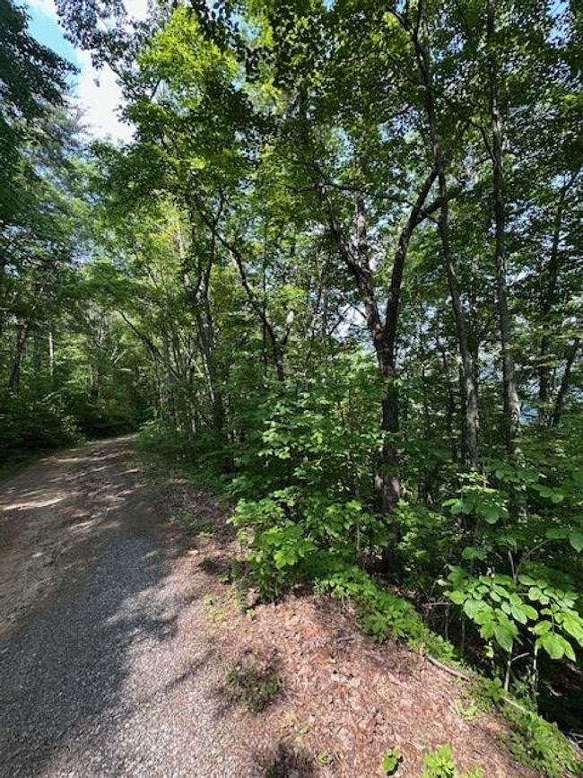 16 Ac Campbell Cove Creek Rd, Home with 0 bedrooms, 0 bathrooms and null parking in Turtletown TN | Image 6