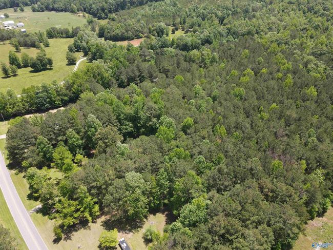 1081 Abel Rd, House other with 2 bedrooms, 1 bathrooms and null parking in Delta AL | Image 35