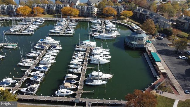 8A - 2014 Sams Way, Condo with 2 bedrooms, 2 bathrooms and null parking in ANNAPOLIS MD | Image 41