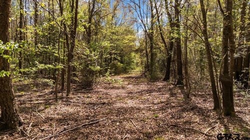 192 Cr 238, Tyler, TX, 75705 | Card Image