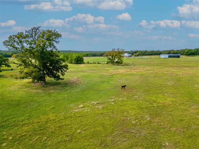 PASTURE | Image 6
