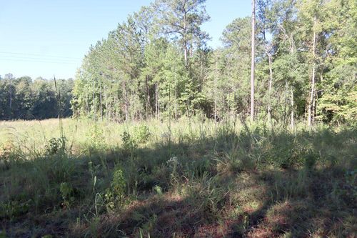 287 Lake Sinclair Dr, Sparta, GA, 31087 | Card Image
