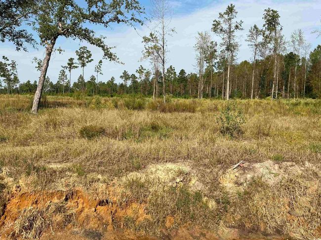 2708 Scarbrough Dr, Home with 0 bedrooms, 0 bathrooms and null parking in Loris SC | Image 9