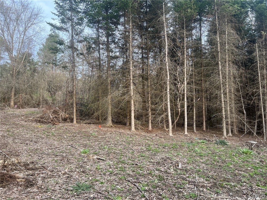 Land in Lafayette 5
