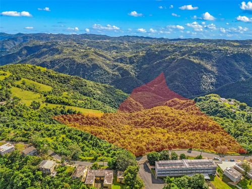 Carr 156 Km 20.1 Interior Bo Honduras, Barranquitas, PR, 00794 | Card Image