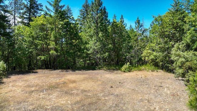 8 Lower River | Image 8