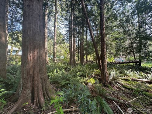 0 Lot 9 Tyee Drive, Point Roberts, WA, 98281 | Card Image