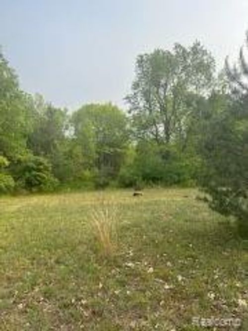 VL N Lapeer Road, Deerfield Township, MI, 48435 | Card Image