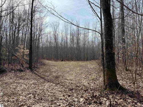 4856 Star Chief Trail, Mancelona, MI, 49659 | Card Image