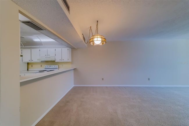APT-8326 - 14255 Rosemary Ln, Condo with 2 bedrooms, 2 bathrooms and null parking in LARGO FL | Image 21