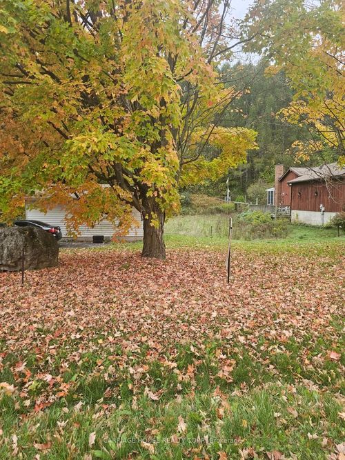 Part 1, 19904 Main St, Alton, ON, L7K0C2 | Card Image