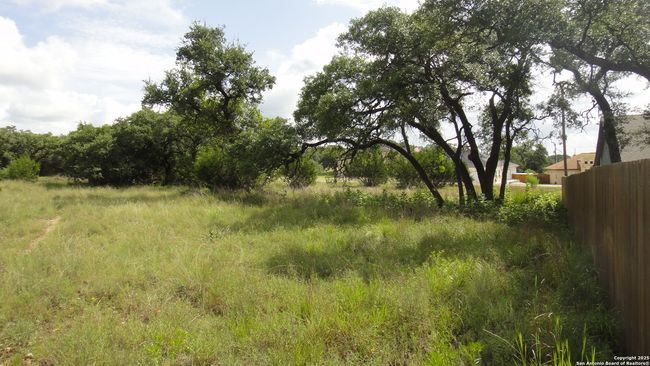 116 Peter Kleid Loop, Home with 0 bedrooms, 0 bathrooms and null parking in Blanco TX | Image 12