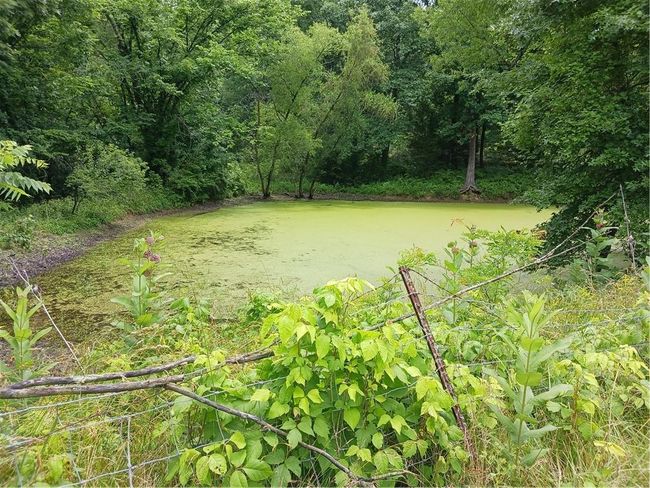 871 Sw 301 St Rd, House other with 2 bedrooms, 1 bathrooms and null parking in Chilhowee MO | Image 25