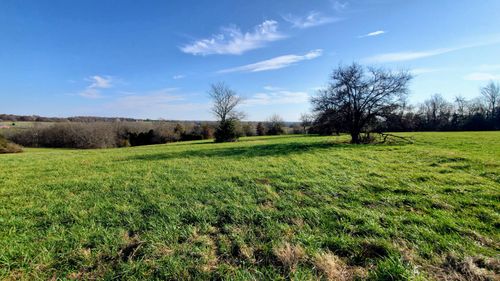 lot-16-6536 W Republic Rd, Republic, MO, 65738 | Card Image