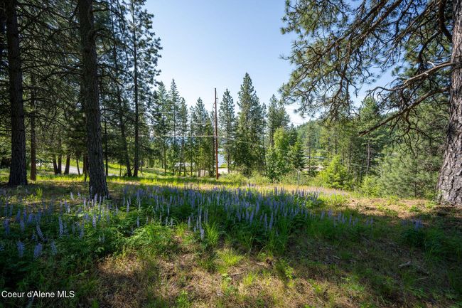 238 Black Sheep Rd, Home with 0 bedrooms, 0 bathrooms and null parking in Hope ID | Image 41