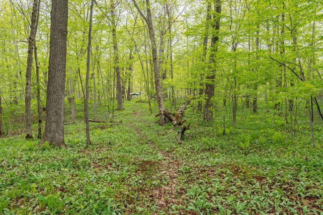 7418 Flambeau Point Rd, Home with 0 bedrooms, 0 bathrooms and null parking in LADYSMITH WI | Image 11