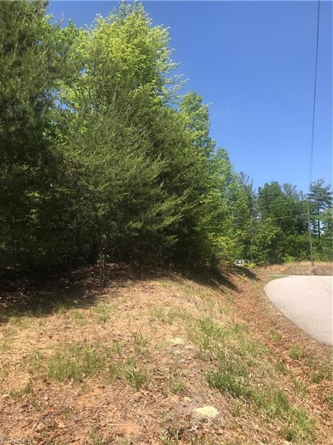 19 Rose Briar Rd, Home with 0 bedrooms, 0 bathrooms and null parking in Boomer NC | Image 14
