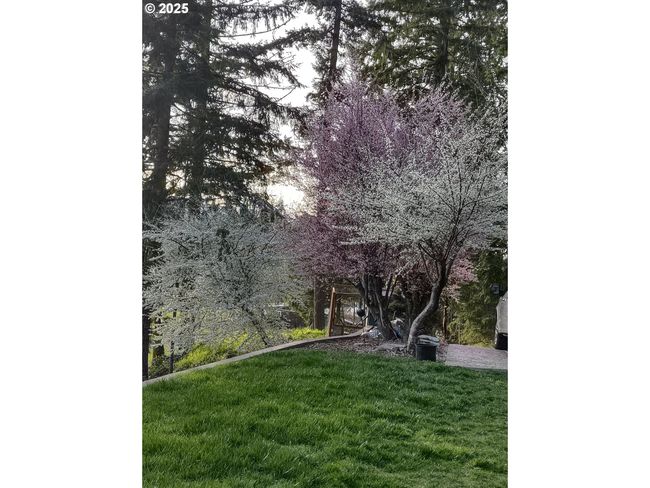 39145 Eagles Rest Rd, House other with 4 bedrooms, 3 bathrooms and 2 parking in Dexter OR | Image 34