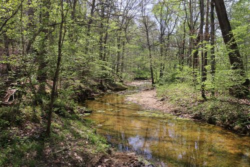 820 New Rd, Clarksville, TN, 37040 | Card Image