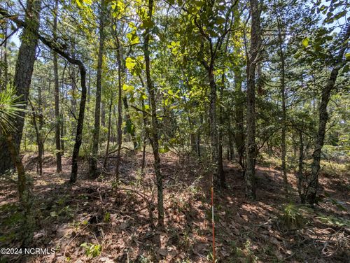 445 Thimbleberry Dr, Vass, NC, 28394-8241 | Card Image