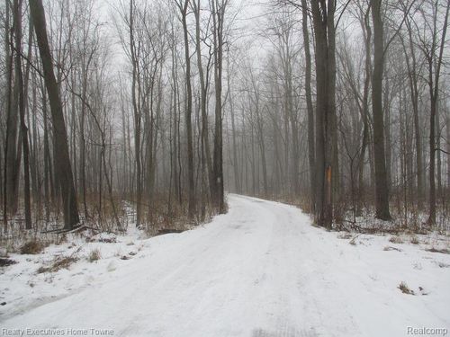 11294 Rose Rd, Emmett, MI, 48022-1411 | Card Image