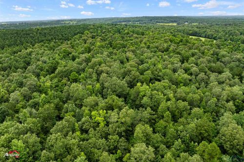 TBD County Road 381d, Laneville, TX, 75667 | Card Image