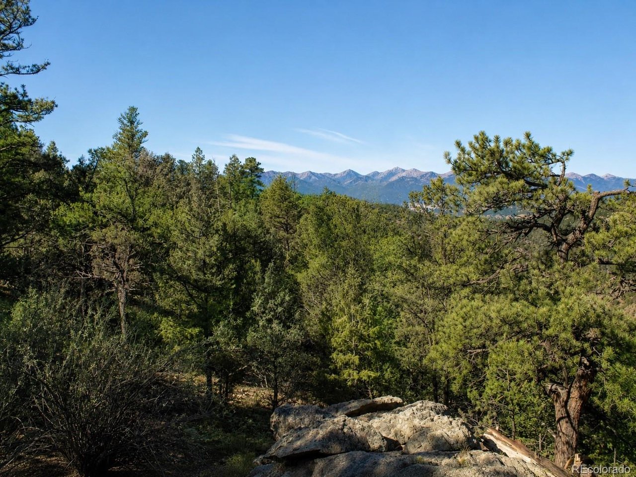 Land in Westcliffe 5