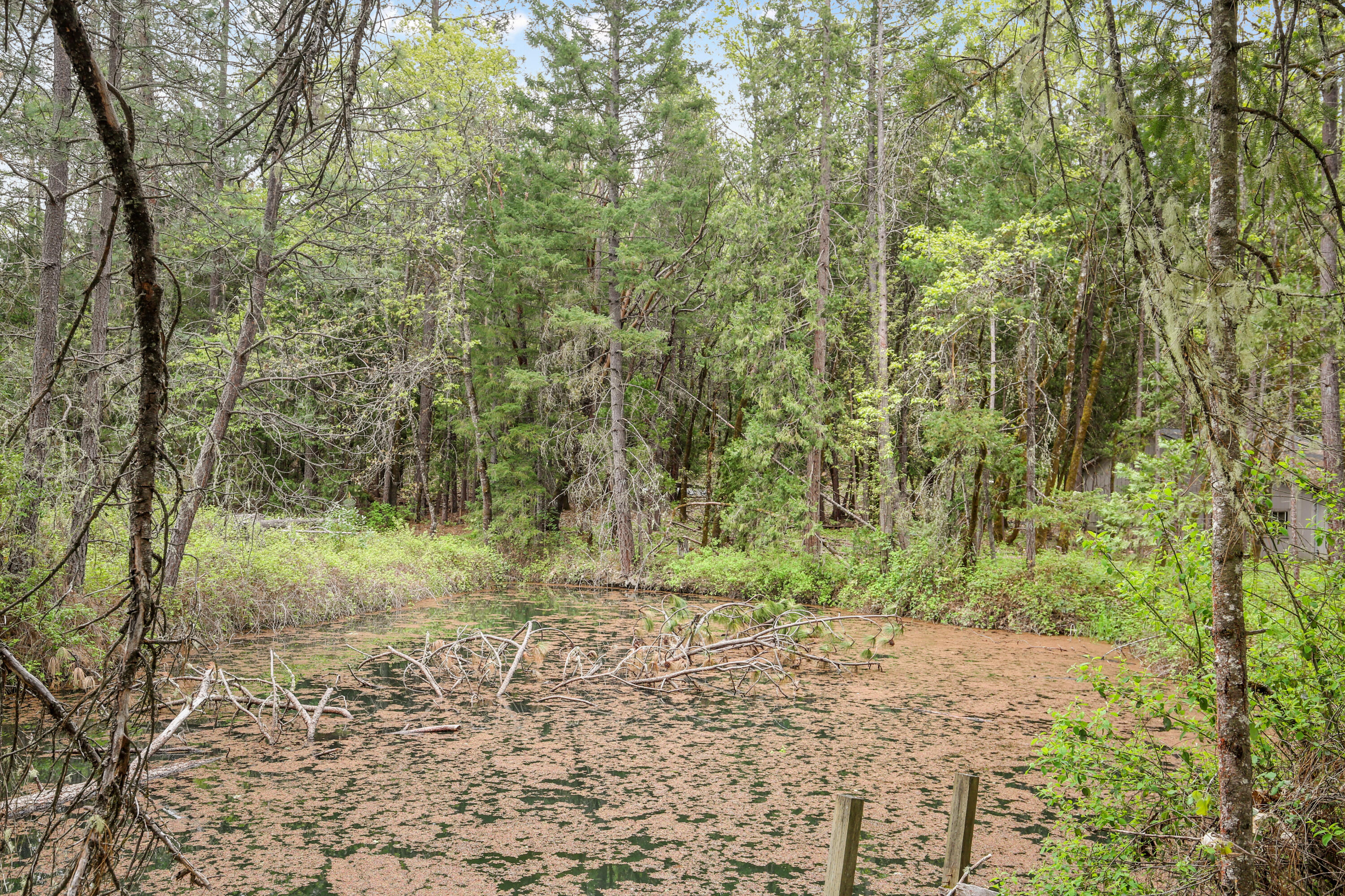 Land in Grants Pass 2
