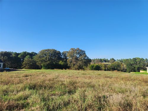 Lot 155 Lago Vista Dr, Athens, TX, 75752 | Card Image