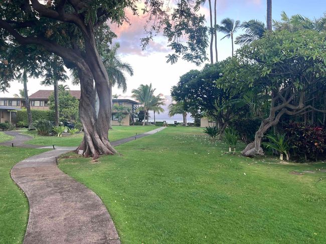 APT-3C - 3559 Lower Honoapiilani Rd, Condo with 2 bedrooms, 1 bathrooms and null parking in Lahaina HI | Image 6