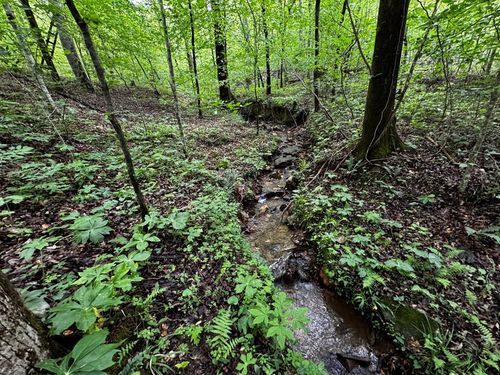 000 Fisher Creek Road, Talking Rock, GA, 30175 | Card Image