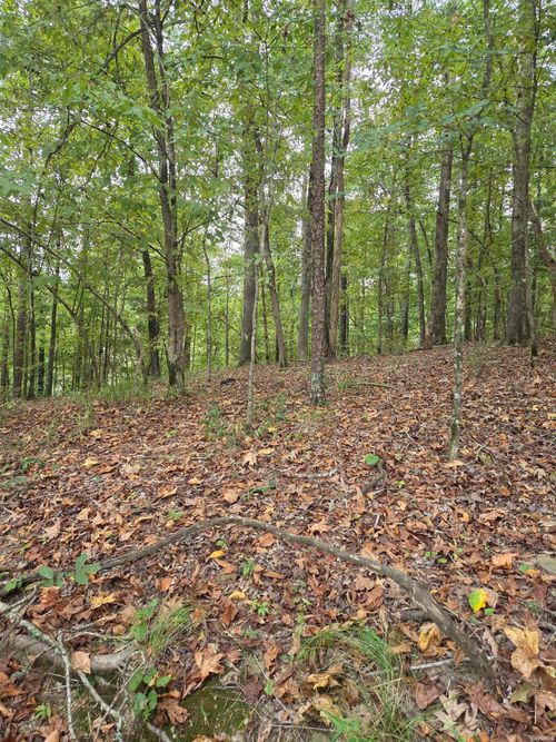 21 Springbrook Dr, Hot Springs National Park, AR, 71913 | Card Image
