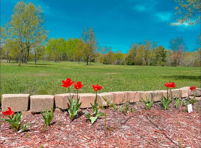13906 Himanka Hill Rd, House other with 1 bedrooms, 1 bathrooms and null parking in Bruce Crossing MI | Image 34