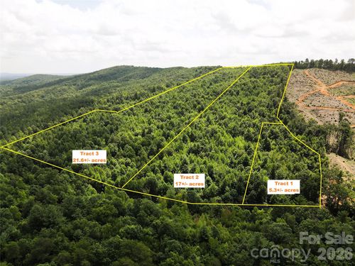 1-Lot 1 & 2 Mount Gilead Church Road, Connelly Springs, NC, 28612 | Card Image