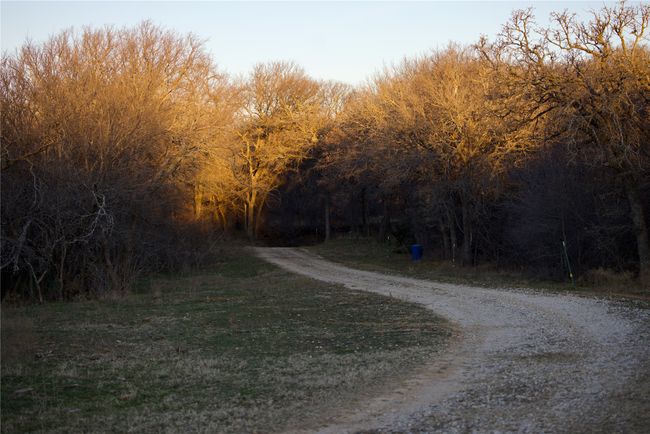 View of road | Image 10
