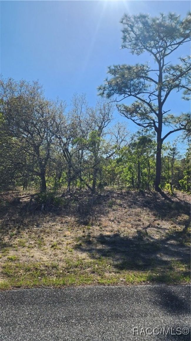 2872 W Lambert Dr, Home with 0 bedrooms, 0 bathrooms and null parking in DUNNELLON FL | Image 6
