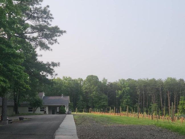 161 Sharp Mountain Pkwy, Home with 0 bedrooms, 0 bathrooms and null parking in Jasper GA | Image 14