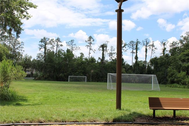3620 Peppervine Pl, House other with 3 bedrooms, 2 bathrooms and null parking in WESLEY CHAPEL FL | Image 31